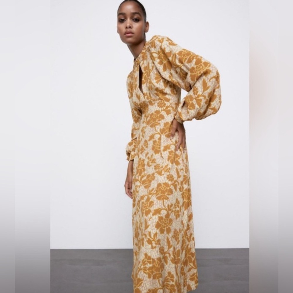 NWT Zara Floral Open Back Midi Dress - Picture 3 of 15